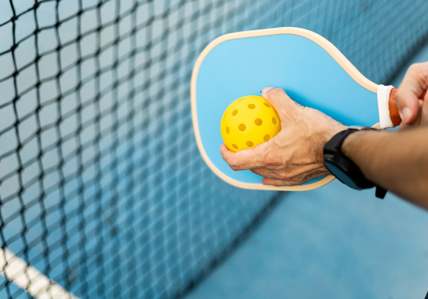 national pickleball day, ball on paddle